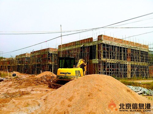 太子辉被抓后遗症:120亿世界