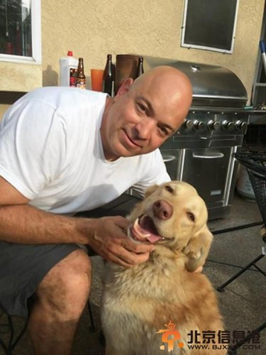 金毛猎犬走失两年仍原地等主人 后终得团聚