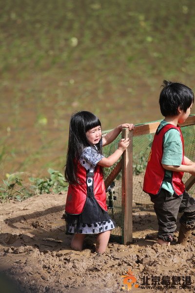 《爸爸去哪儿2》首播收视率2.43% 曹格女儿激萌小萝莉获赞