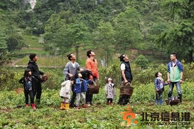 爸爸去哪儿第二季收视率