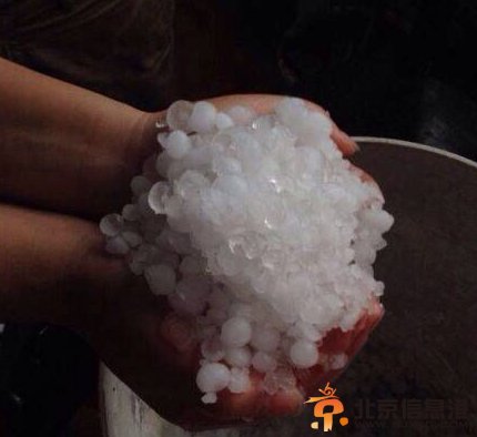 冰雹突袭河北大如龙眼 市民装桶冰镇饮料