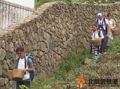 姚笛文章纷纷出走“疗情伤” <a href='http://www.bjxxg.cn/ent/' target='_blank'><u>娱乐</u></a>圈中人果然内心够强大