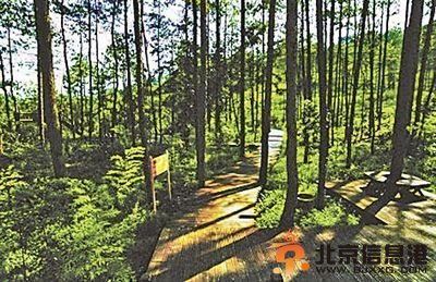 贵州森林公园变高球场 国家禁令为何成一纸空文？