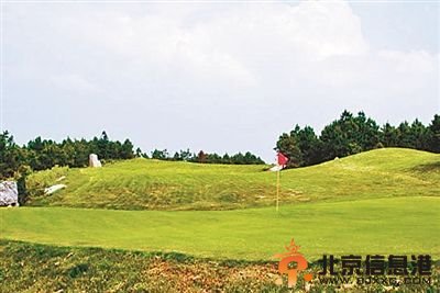 贵州森林公园变高球场 国家禁令为何成一纸空文？