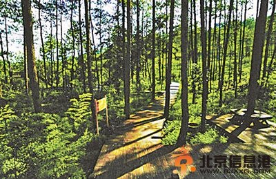 贵州国家森林公园改建高尔夫球场 2万亩山林被毁