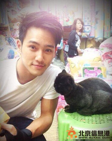 赵雅芝幼子疑将入行 高富帅黄恺杰密会英皇前高层被拍【图】