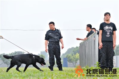 搜油犬进<a href='http://www.bjxxg.cn/news/beijing/' target='_blank'><u>北京</u></a>地铁反恐 发现汽油不叫不咬 