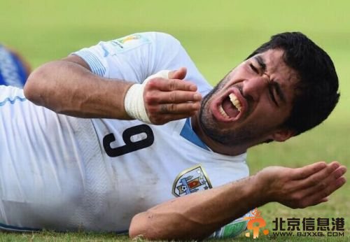 哥伦比亚VS乌拉圭：南美内战 苏神登场成疑问