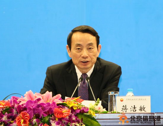 原国资委主任蒋洁敏