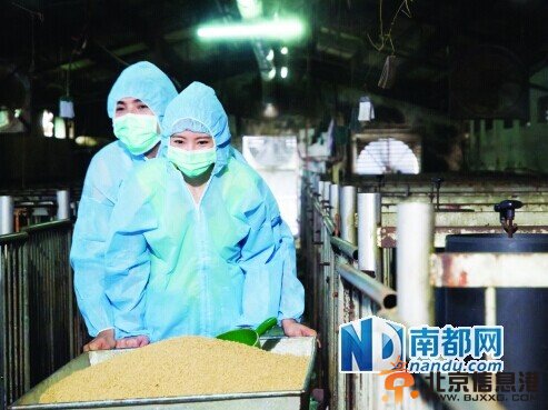 安以轩增肥出演养猪女。