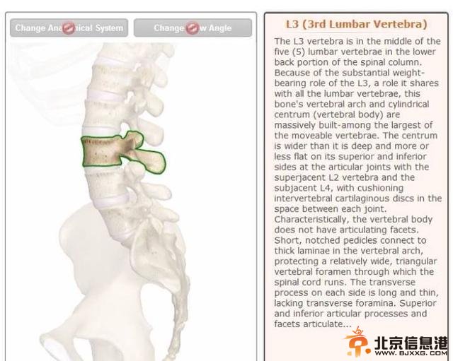 内马尔椎骨骨裂告别世界杯 职业生涯受影响