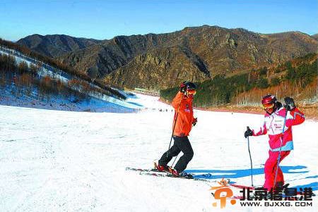 2014年2月12日，游客在张家口市崇礼县的万龙滑雪场滑雪，如果申奥成功，这里按照规划将作为2022年冬奥会部分雪上项目的比赛场地。新华社发
