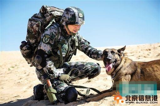 《神犬奇兵》剧照