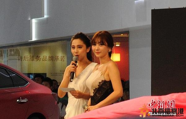 长春车展2014强势登陆 柳岩现身车展引骚乱【图】