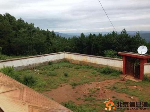 云南一小学教师涉嫌性侵8名女生 全校仅13名女生