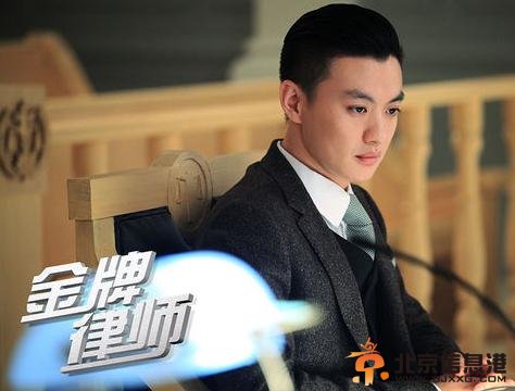 金牌律师剧情介绍