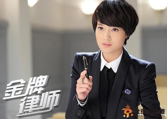 金牌律师剧情介绍