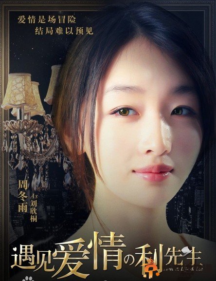 遇见爱情的利先生演员表 演员介绍