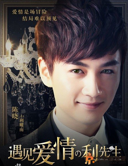 遇见爱情的利先生演员表 演员介绍