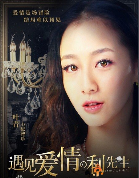 遇见爱情的利先生演员表 演员介绍