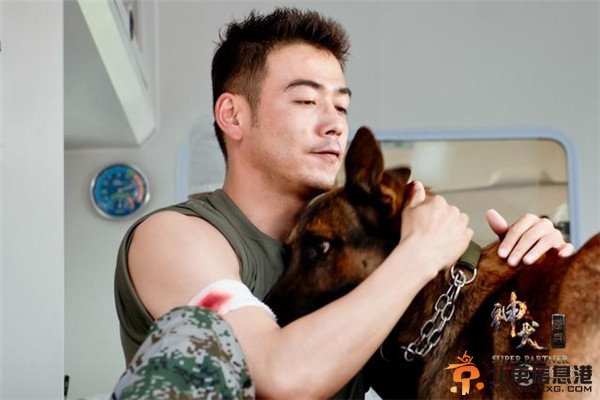 《神犬奇兵》醇男杨烁变身全能“汪爸”