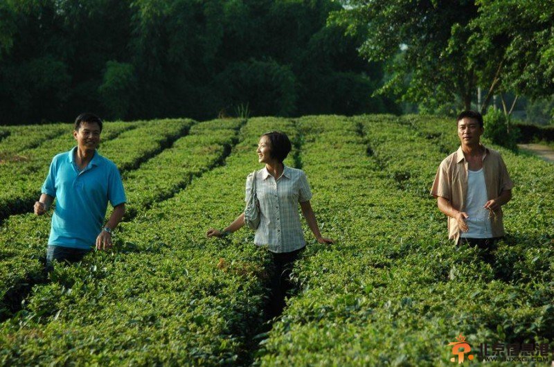 错儿热播 储小蕾演技出色受赞