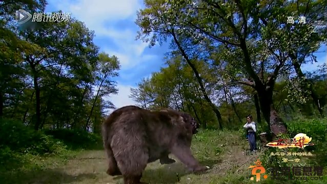 这只熊的特效更假，有木有？