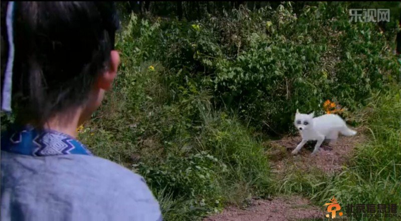 《古剑奇谭》第1集内容讲解