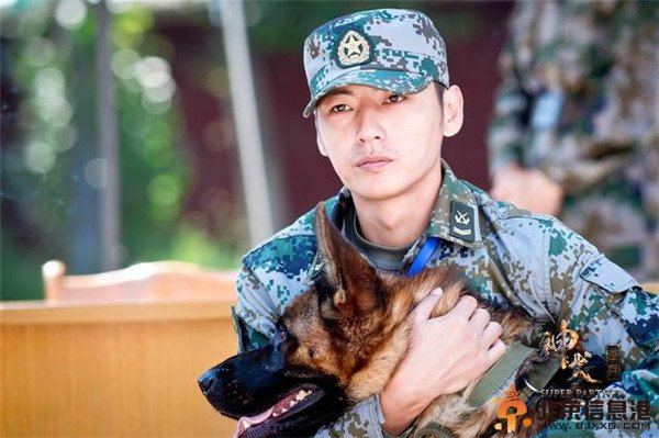 《神犬奇兵》1000条军犬“竞聘”上岗 将拍升级版《神犬小七》