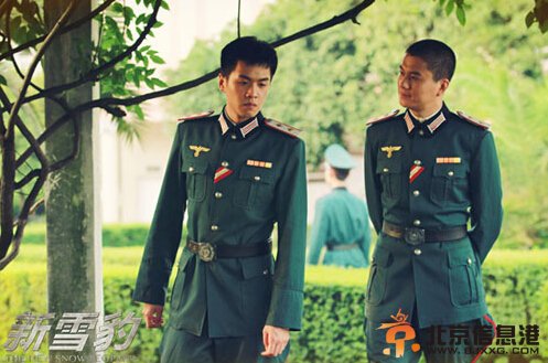 雪豹坚强岁月高清剧照