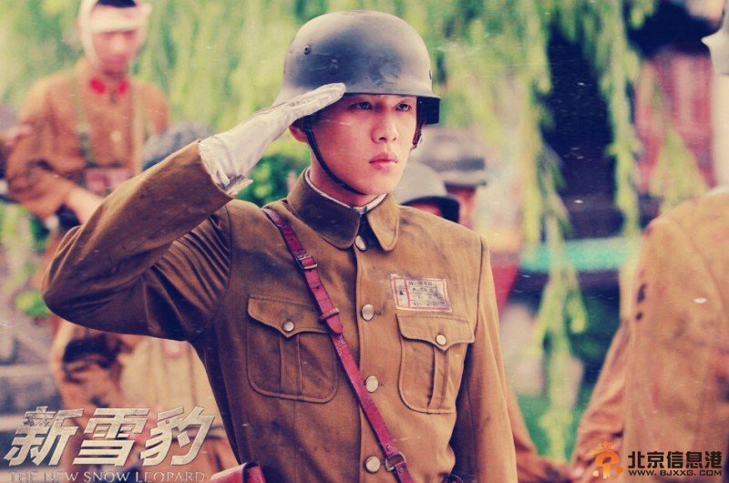 雪豹坚强岁月高清剧照
