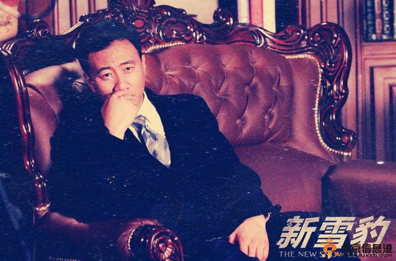 雪豹坚强岁月高清剧照