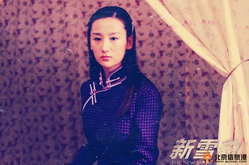 雪豹坚强岁月高清剧照