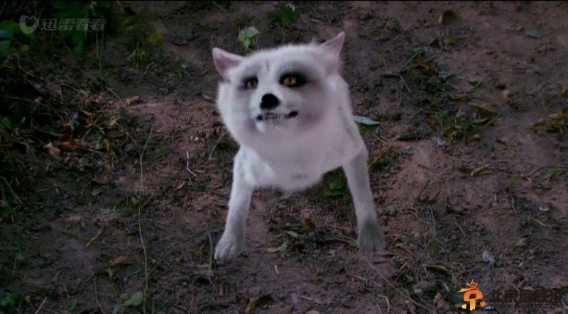 表情扭曲的夜店风烟熏妆白狐