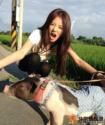 真爱遇到他剧照