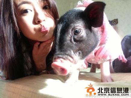 真爱遇到他剧照