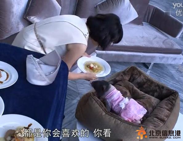 真爱遇到他剧照