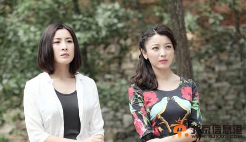  　　吴秀波《马向阳下乡》演儒雅书记陷感情难题