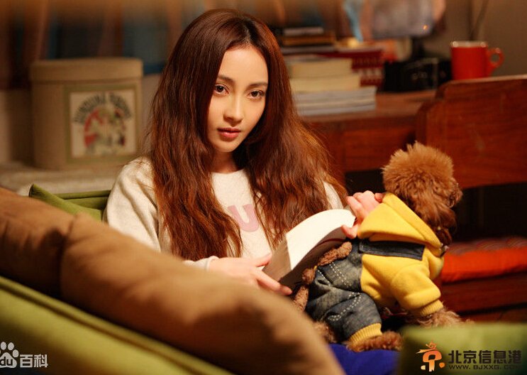 和平的全盛时代剧情介绍‘