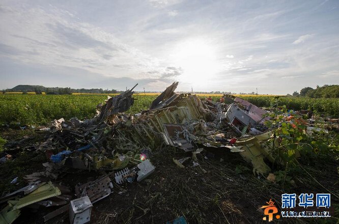 马航空难遇难者遗体开始运出空难现场【组图】