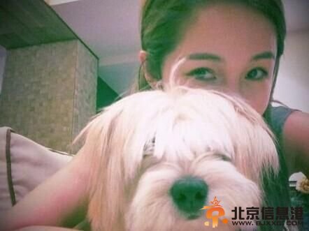 萧亚轩晒柯震东收养狗狗爱心爆棚 借狗狗炒作“亚东恋”仍未分手