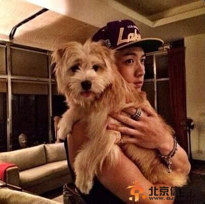 萧亚轩晒柯震东收养狗狗爱心爆棚 借狗狗炒作“亚东恋”仍未分手