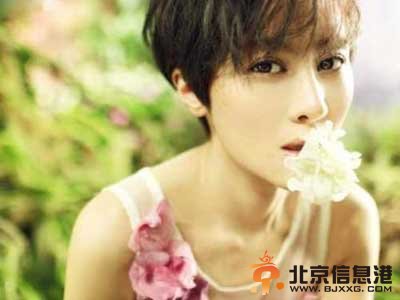 朴树老婆是谁 朴树老婆吴晓敏背景