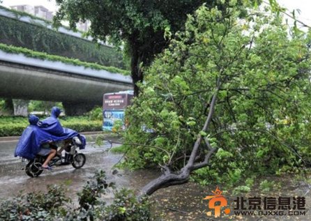 麦德姆台风路径最新消息：23日登陆福建 造成34万多户停电