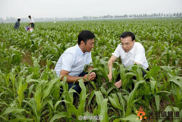 李克强山东考察：农业合作要充分尊重农民意愿