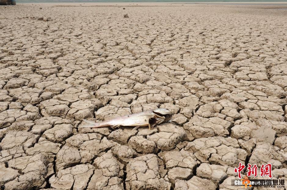 陕西创50年温度最高年份 部分水库干涸见底
