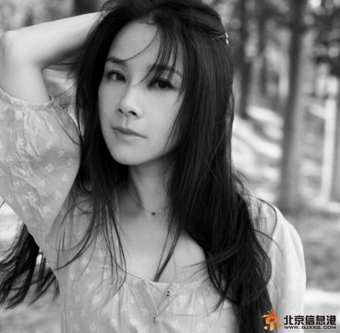 历史转折中的邓小平剧情介绍