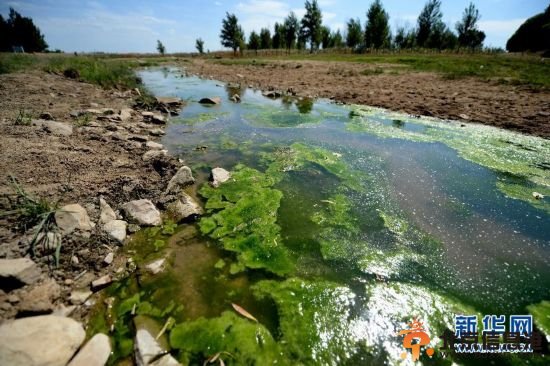 辽宁遭遇60余年来最重旱情 河道滴水不见