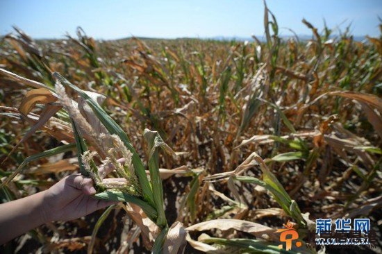 辽宁遭遇60余年来最重旱情 河道滴水不见