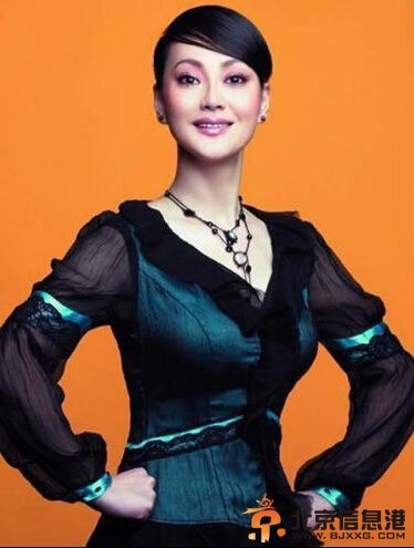 历史转折中的邓小平剧情介绍